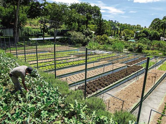 whatsapp image 2021-12-06 at 19.46.23(4).jpeg