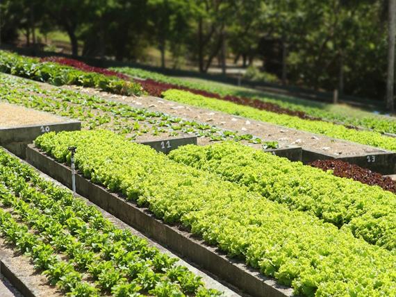 whatsapp image 2021-12-06 at 19.46.23(5).jpeg