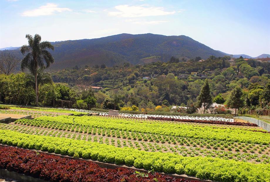 whatsapp image 2021-12-06 at 19.40.43(5).jpeg