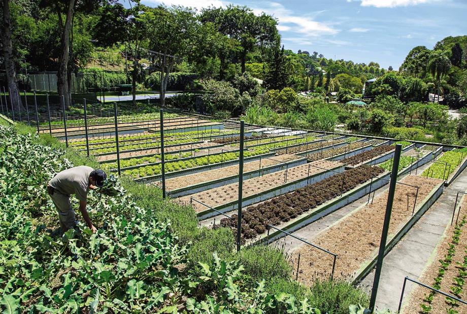 whatsapp image 2021-12-06 at 19.46.23(4).jpeg