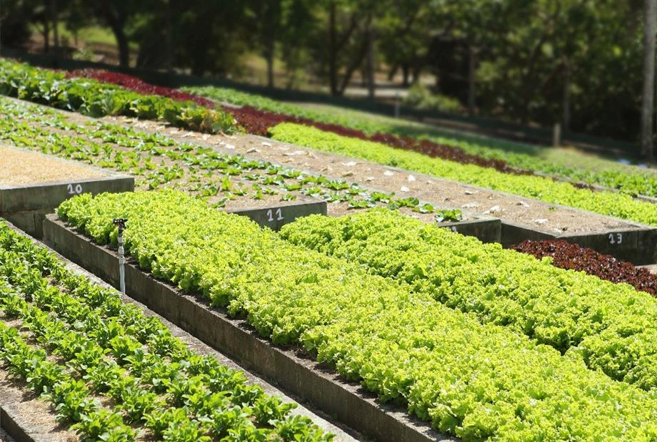 whatsapp image 2021-12-06 at 19.46.23(5).jpeg