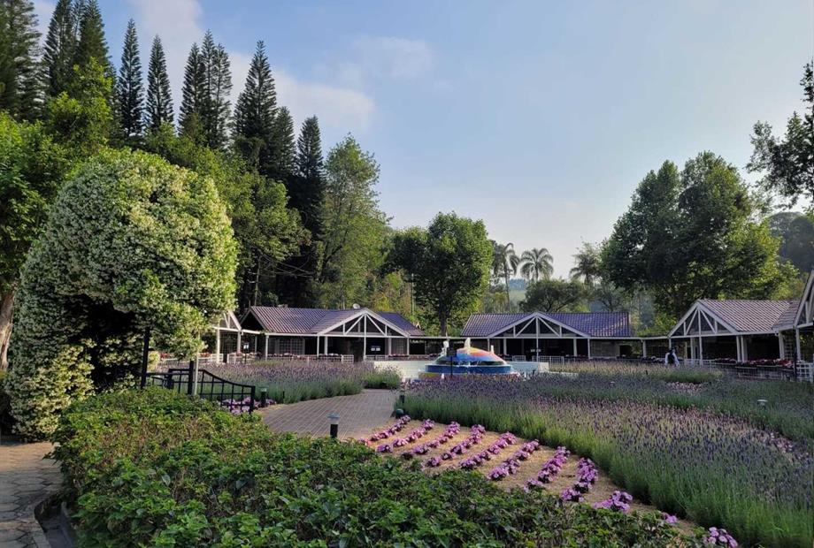 vila mediterranea (4).jpeg