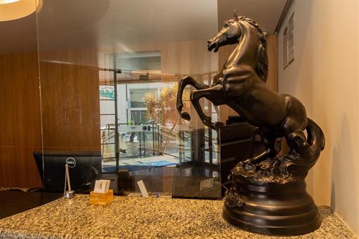 dsc_0365 grande.jpeg