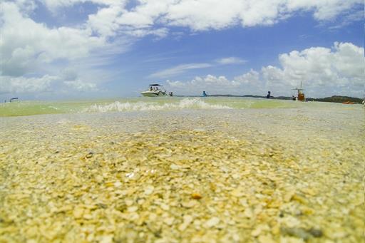 Praias Barra Grande Maragogi-9.jpg
