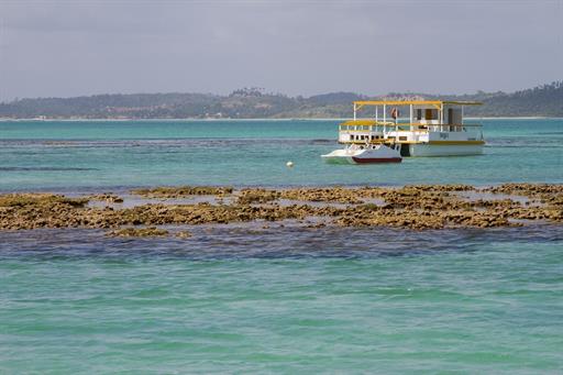 Praias Barra Grande Maragogi-20.jpg
