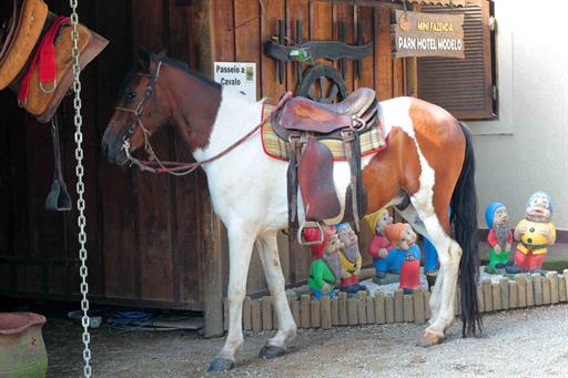 park hotel modelo (749).jpg