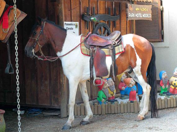 park hotel modelo (749).jpg