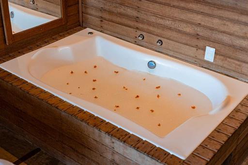 whatsapp image 2024-05-21 at 09.20.18 (2).jpeg