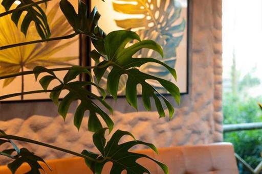 whatsapp image 2024-05-21 at 09.20.57.jpeg