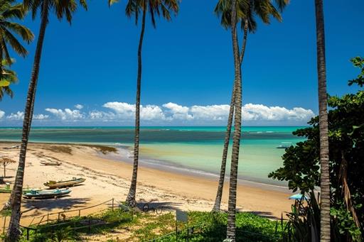 whatsapp image 2021-05-13 at 09.35.58.jpeg