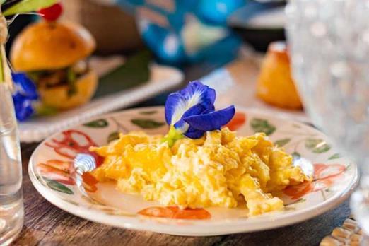 whatsapp image 2024-05-21 at 09.23.42.jpeg