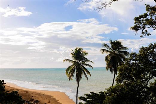 whatsapp image 2024-05-21 at 09.23.28 (1).jpeg