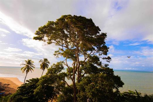 whatsapp image 2024-05-21 at 09.23.28.jpeg