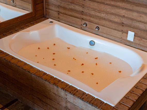 whatsapp image 2024-05-21 at 09.20.18 (2).jpeg