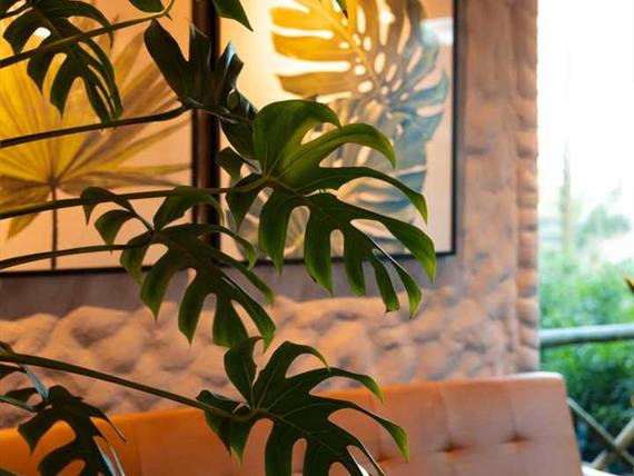 whatsapp image 2024-05-21 at 09.20.57.jpeg