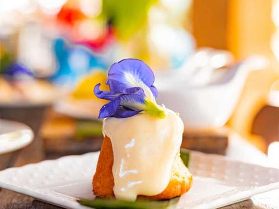 whatsapp image 2024-05-21 at 09.23.44 (1).jpeg