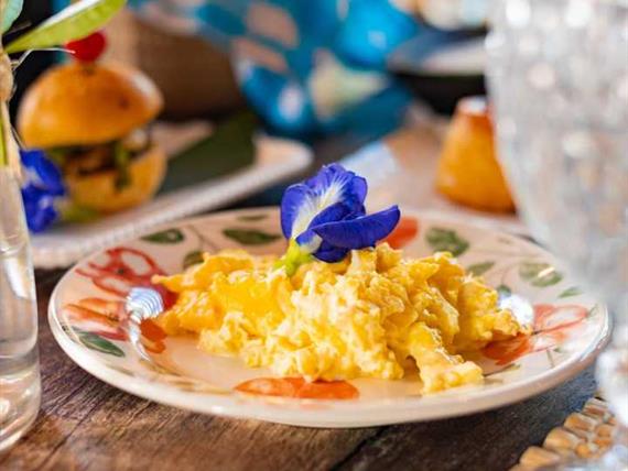 whatsapp image 2024-05-21 at 09.23.42.jpeg