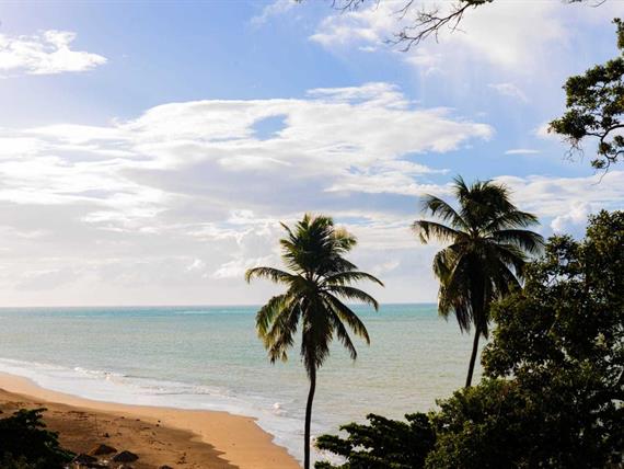 whatsapp image 2024-05-21 at 09.23.28 (1).jpeg