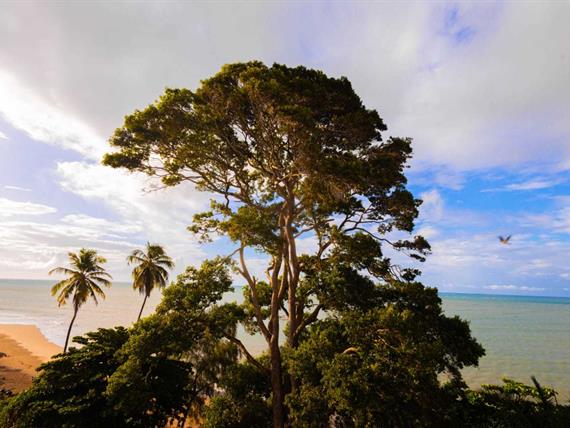 whatsapp image 2024-05-21 at 09.23.28.jpeg