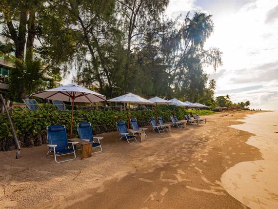 whatsapp image 2024-05-21 at 09.23.35.jpeg