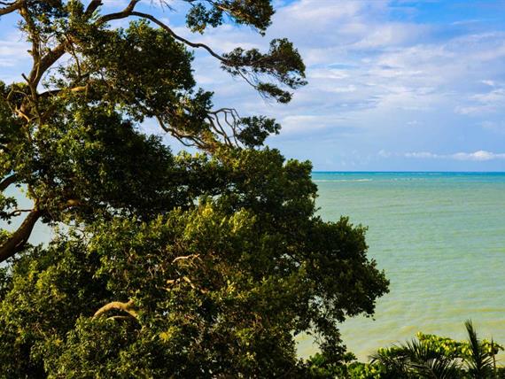 whatsapp image 2024-05-21 at 09.23.30.jpeg