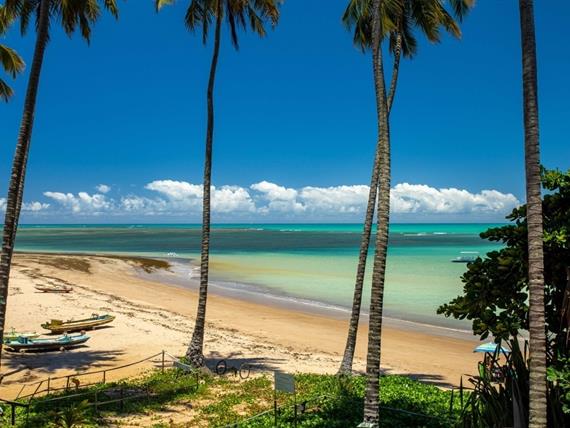 whatsapp image 2021-05-13 at 09.35.58.jpeg