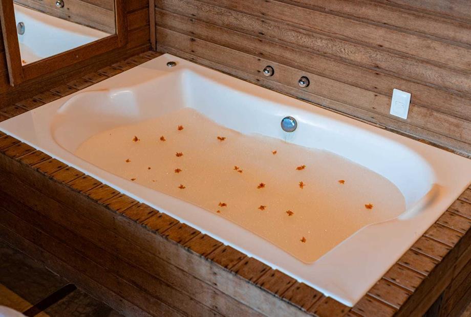 whatsapp image 2024-05-21 at 09.20.18 (2).jpeg