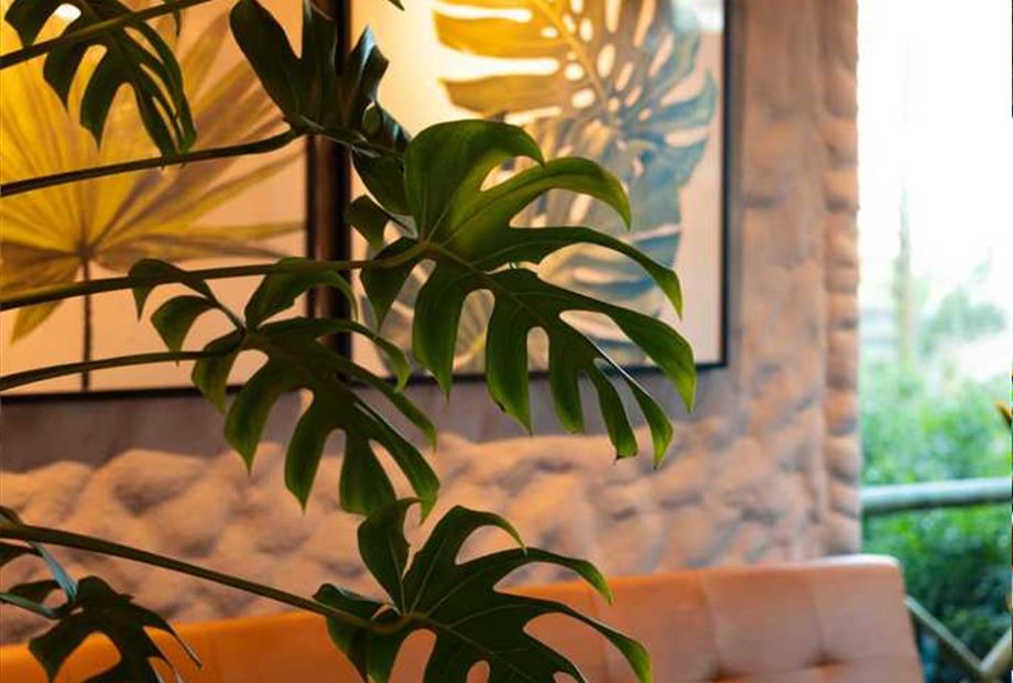 whatsapp image 2024-05-21 at 09.20.57.jpeg