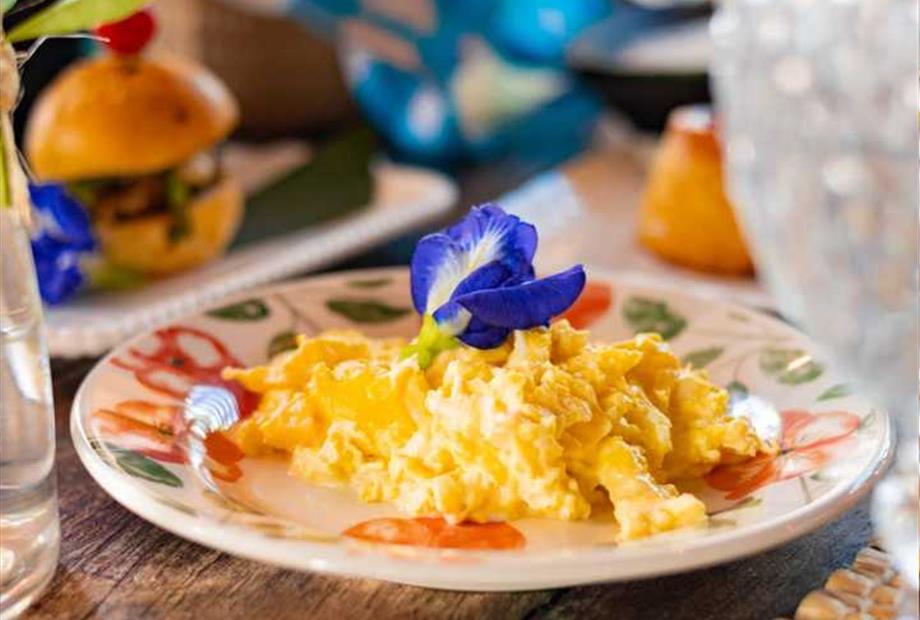 whatsapp image 2024-05-21 at 09.23.42.jpeg