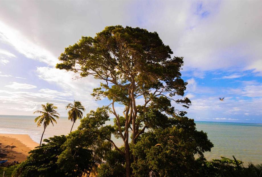 whatsapp image 2024-05-21 at 09.23.28.jpeg