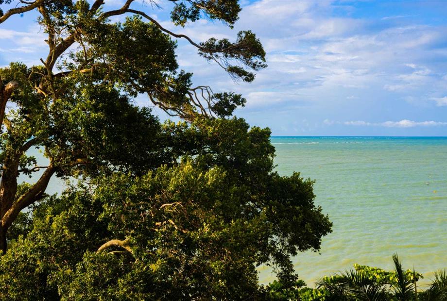 whatsapp image 2024-05-21 at 09.23.30.jpeg