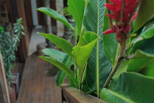 whatsapp image 2025-06-23 at 07.48.07 (1).jpeg