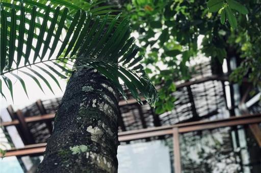 whatsapp image 2025-06-23 at 07.48.07.jpeg