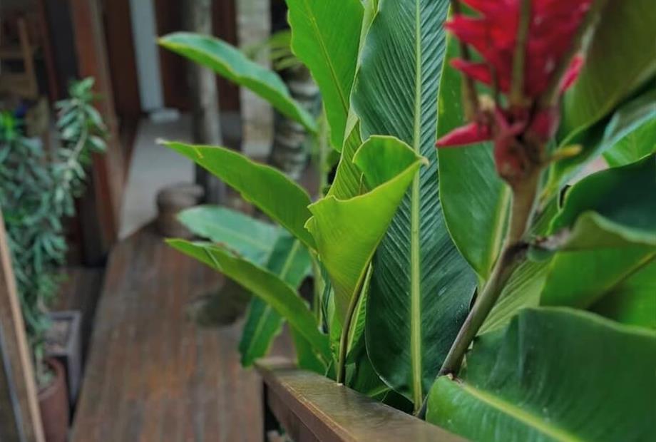 whatsapp image 2025-06-23 at 07.48.07 (1).jpeg