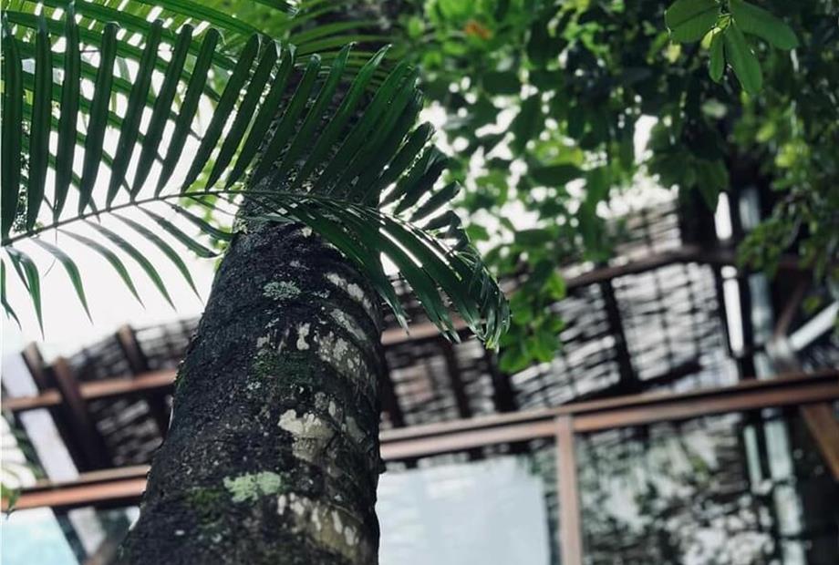 whatsapp image 2025-06-23 at 07.48.07.jpeg