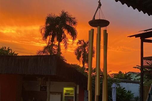 whatsapp image 2024-02-26 at 14.57.27.jpeg