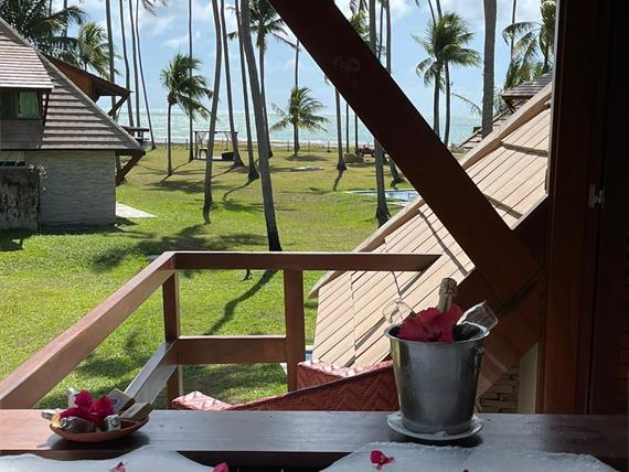 whatsapp image 2021-11-10 at 18.41.15.jpeg