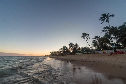 1136 - @ruinagaefotografia.jpg