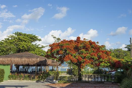 local do café da manhã.jpg