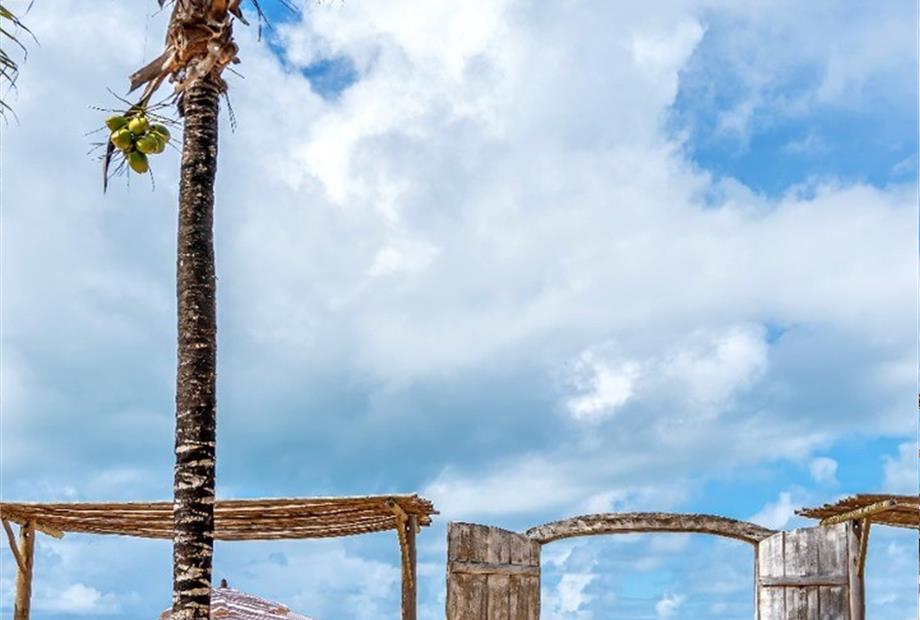 whatsapp image 2022-10-06 at 18.58.07.jpeg