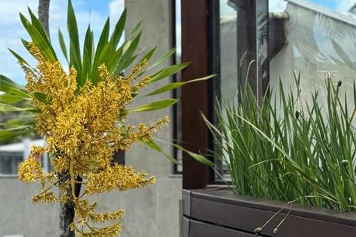 whatsapp image 2025-04-03 at 16.40.20 (1).jpeg