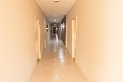 r6ii7204.jpg
