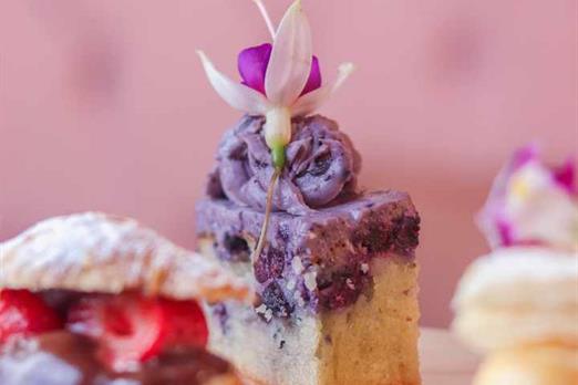 cópia de img_1112.jpg