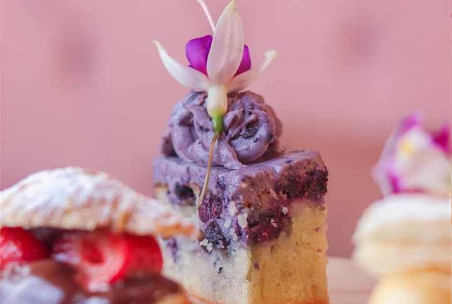 cópia de img_1112.jpg