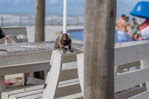 da_r8981 - makai resort all inclusive aracaju.jpg