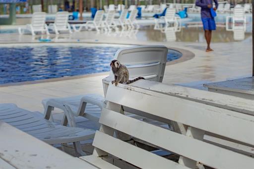 da_r8978 - makai resort all inclusive aracaju.jpg