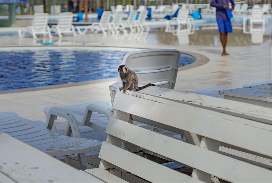 da_r8978 - makai resort all inclusive aracaju.jpg