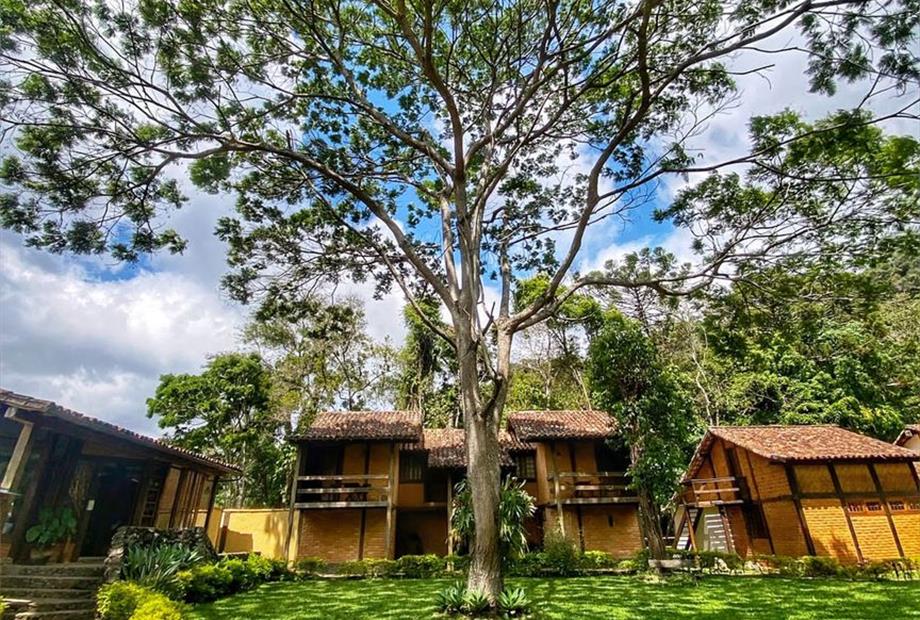 whatsapp image 2021-11-02 at 12.30.45 (1).jpeg