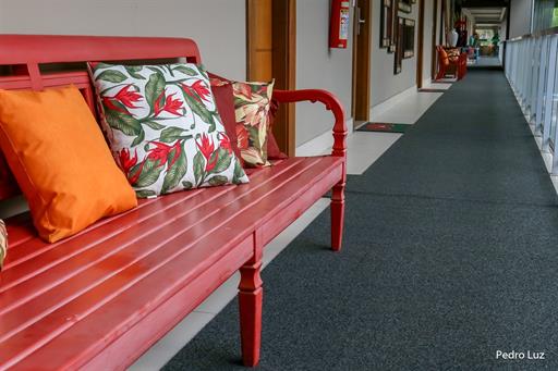 Pedro Luz - IMG_4826.jpg