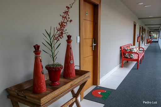 Pedro Luz - IMG_4824.jpg